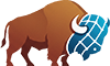 Buffalo Web Style Logo